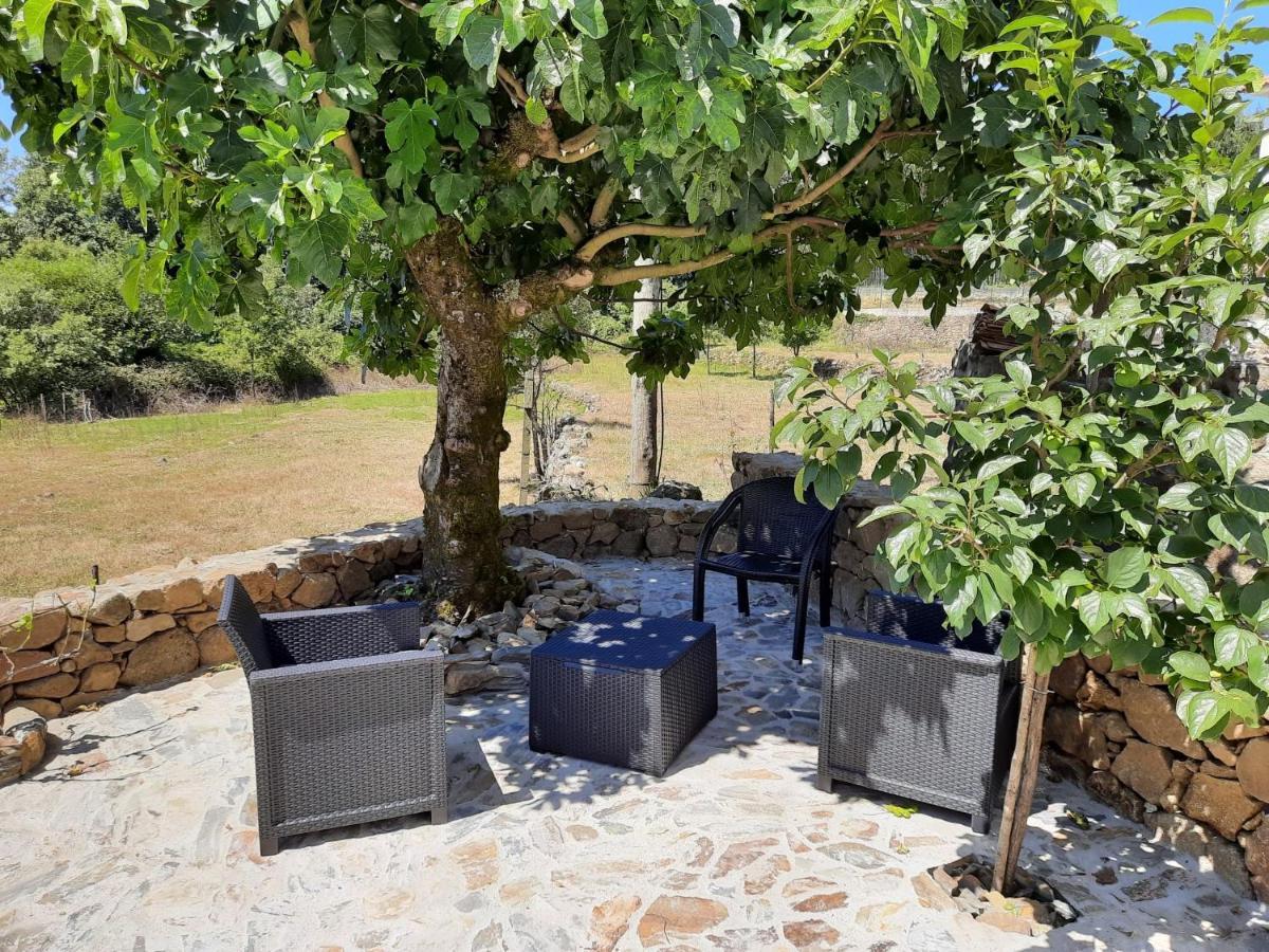 Casa Do Canto Holiday home *